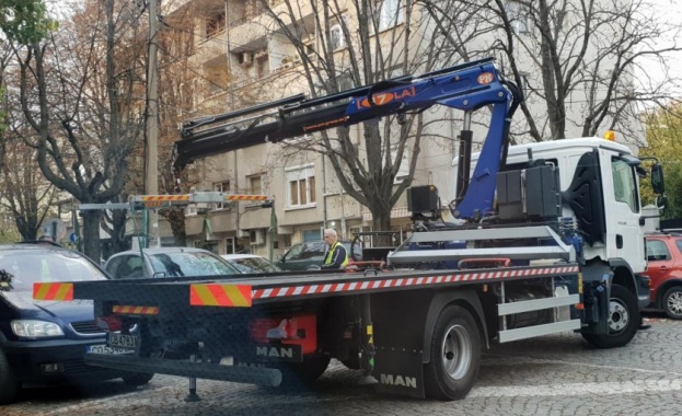 София е на загуба от скобите и паяците в града