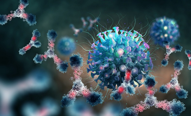 2641 са новите случаи на коронавирус за изминалото денонощие Това