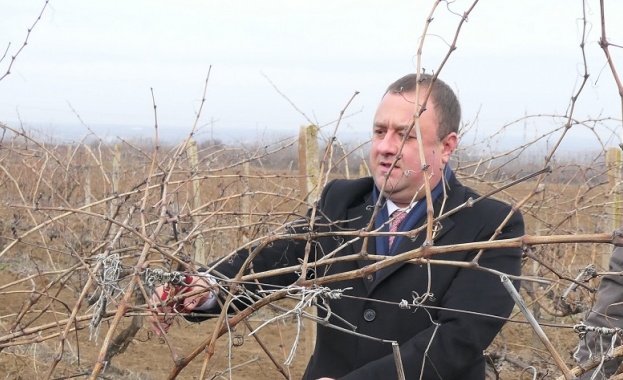 Министър Иванов към лозарите: Лозаро-винарския сектор е приоритет за нас