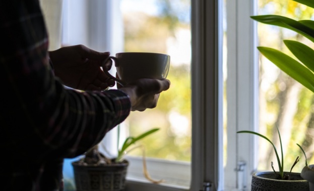 Шок и ужас лятото идва а с него и комарите