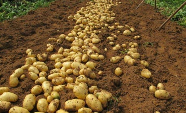 Управителният съвет на Държавен фон Земеделие утвърди финансов ресурс от