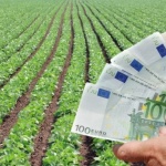 Парите, които емигрантите изпращат в България, са намалели с 87%