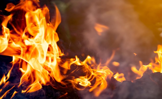 Продължава борбата с пожара пламнал в горист терен между ямболските