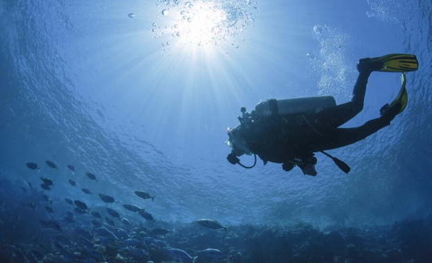 През 2021 г водолаз се натъкнал на кръгли колони докато