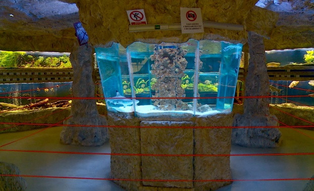 Днес на 10 февруари четвъртък от 18 20 ч в ефира