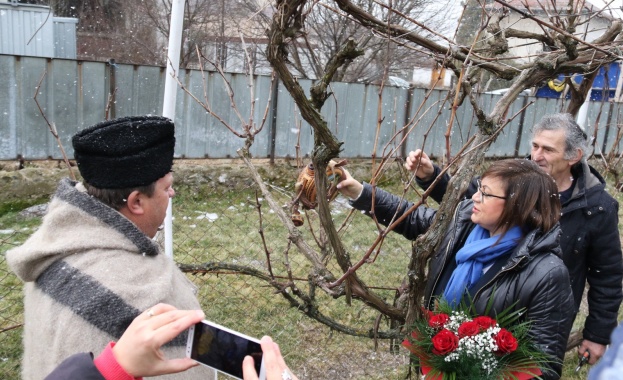 Честит празник на виното Трифон Зарезан и на любовта Свети
