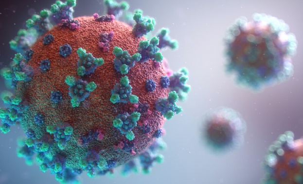 2605 са новите случаи на коронавирус през изминалото денонощие. Това