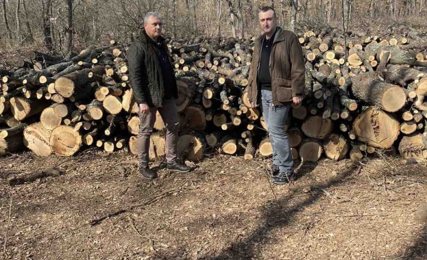Министерството на земеделието обяви своята инициатива дървата за огрев да