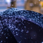 Сутринта в по-голямата част от Северна България ще вали слаб сняг