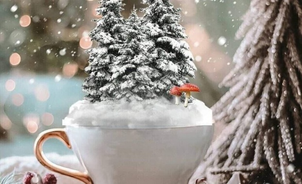 Коледа не е...