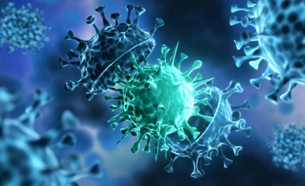 Броят на новите случаи на коронавирус се увеличи като абсолютно