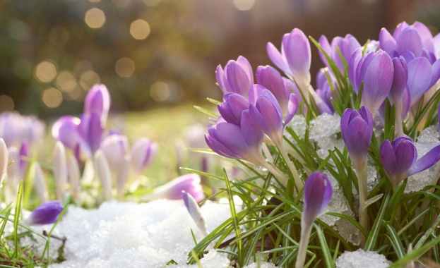 Тази година през март се очаква средната месечна температура да