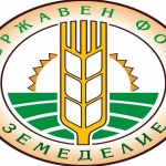 ДФЗ: Овощарите получиха над 1,8 млн. лева за втория етап от помощта за зимни пръскания