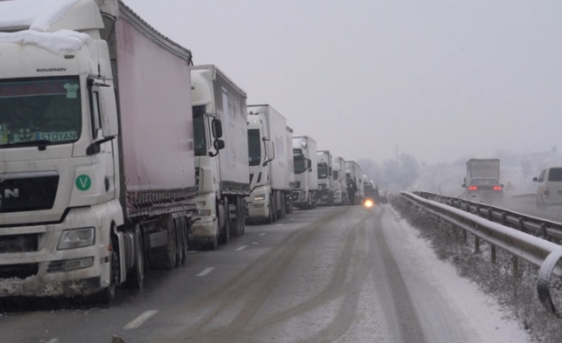 Още отрано сутринта опашката на ГКПП Кулата е около десет