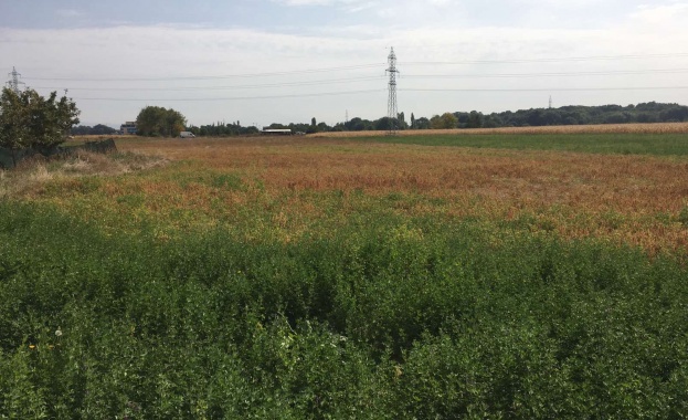 Търг с тайно наддаване по реда на чл 251