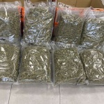 Митничари откриха 50 килограма марихуана, скрита в соларни панели