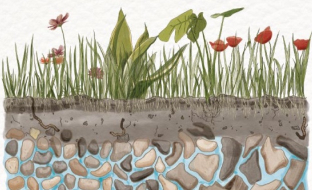 Основите Кога е Световният ден на водата Световният ден на водата се