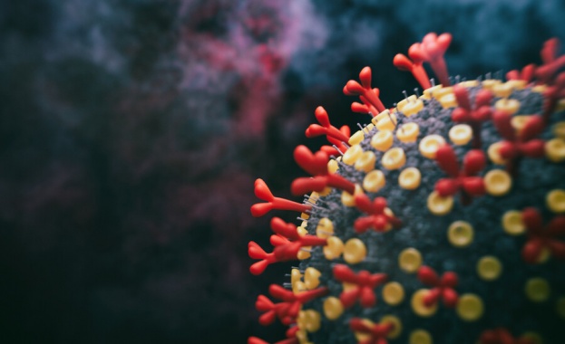 1 140 са новорегистрираните случаи на коронавирус за последното денонощие