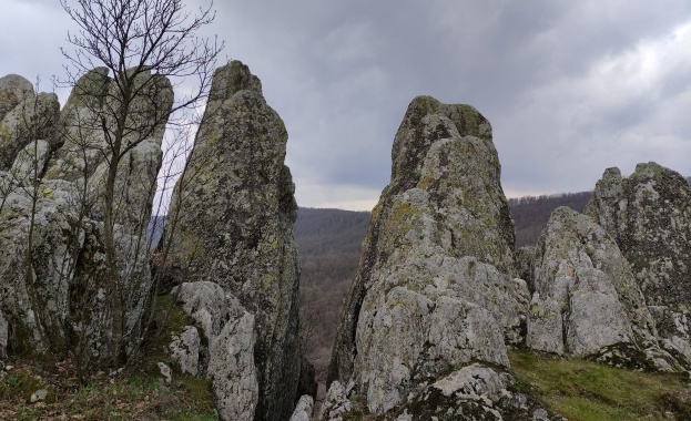Министърът на околната среда и водите Борислав Сандов издаде заповед