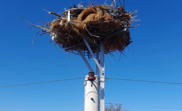 Непосредствено преди пристигането на първите щъркели от юг в страната