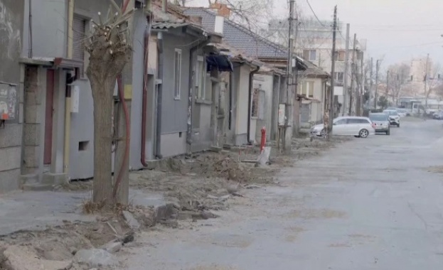 Зрители на BTV сигнализират за това как всички дървета по