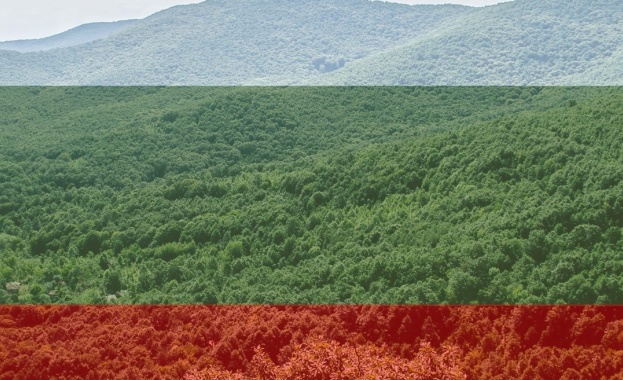 Пациентите които избират да се консултират с лекари които практикуват