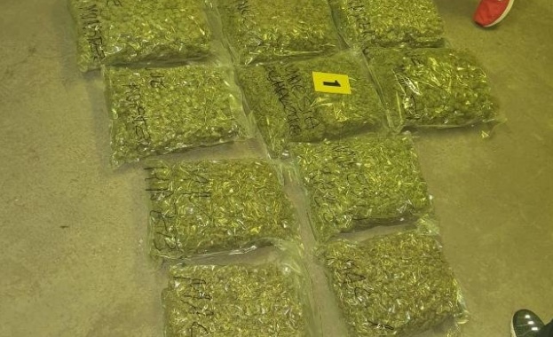 Германия и Италия се присъединиха към европейска коалиция създадена от