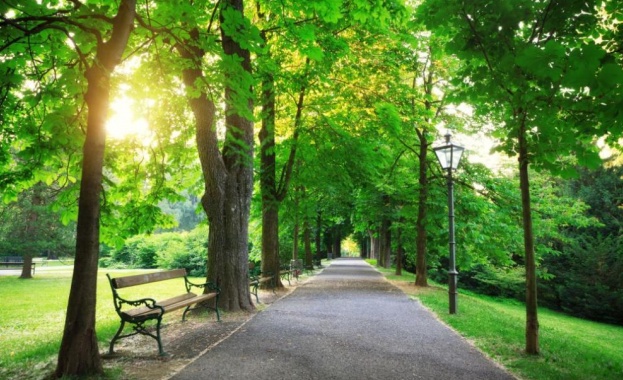 Младежи доброволци участващи в проекти по две от програмите за