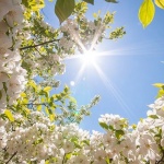 Повечето от важните неща...