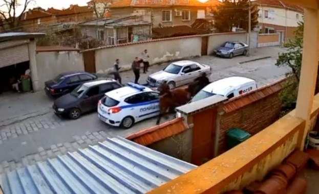 Кон прегази полицейски автомобил За ден куриозното видео от охранителна