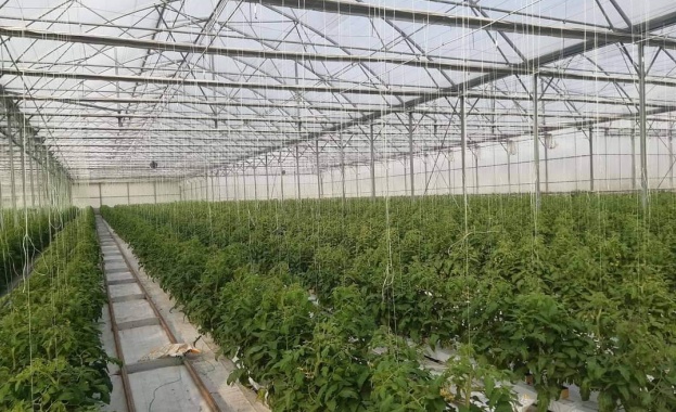 Във връзка с предстоящите Великденски празници инспекторите по растителна защита