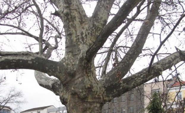 Вицепремиерът по климатичните политики и министър на околната среда и