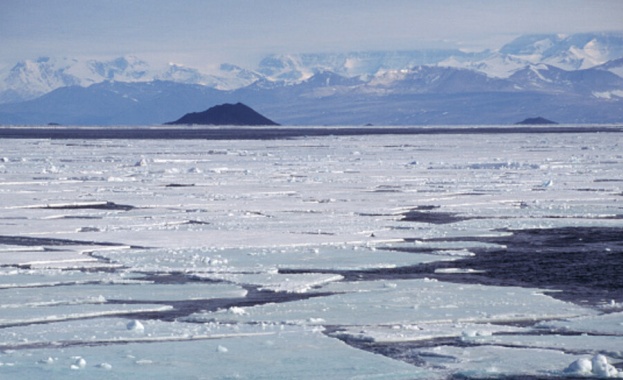 Площта, покрита с антарктически морски лед, е спаднала до най-ниското