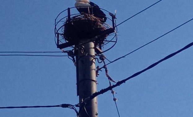 Изработеното от жители на авренското село Юнак щъркелово гнездо което