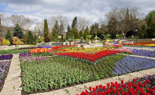 Парад на лалетата в Балчик - над 50 хиляди цветя радват посетителите на ботаническата градина