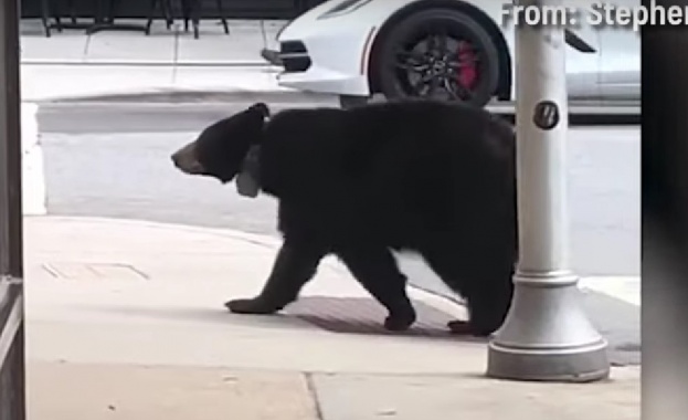 Жителите на малко градче в американския щат Северна Каролина станаха