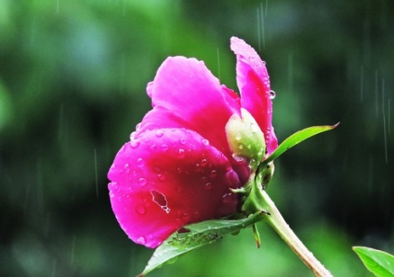 Ветровито и дъждовно време днес