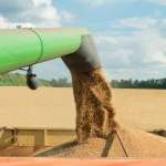 Зърнопроизводители: Хората са загубили доверие, защото всички споразумения са задкулисни