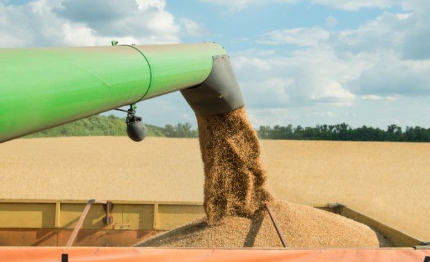 САЩ и техни партньори разработват маршрути за износ на критични резерви зърно от Украйна