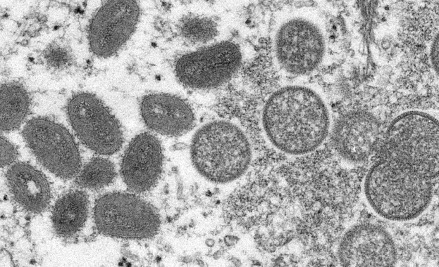 Световната здравна организация свиква извънредно експертно заседание за да обсъди