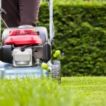 Тревата, ливадите, райграсът, косенето на поляните и защо да не го правим