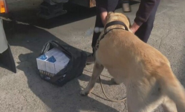 31 милиона къса контрабандни цигари са задържани от Агенция Митници