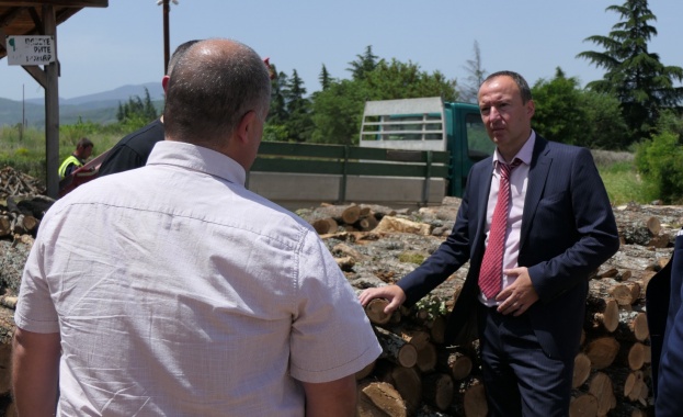 Искаме заедно да работим за това дървата от гората да