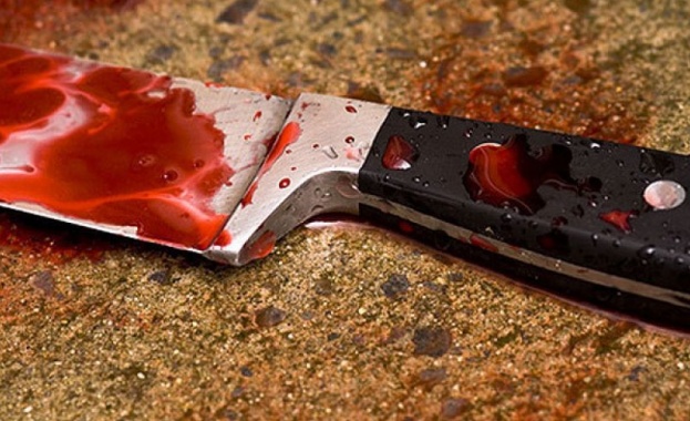 31 годишна жена е убила 8 годишната си дъщеричка с нож Кървавата