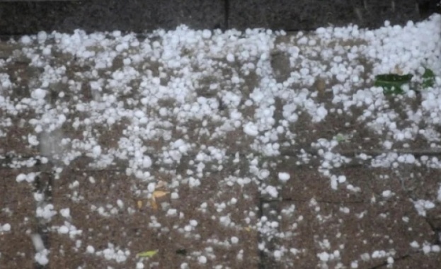 Едногодишно момиченце е починало след като е било ударено от