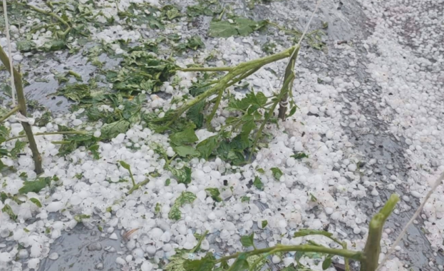 Усложнена остава метеорологичната обстановка и днес в страната 29 те стрелкови