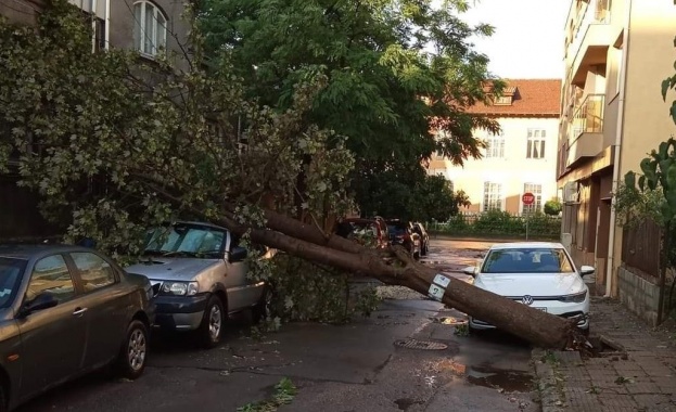 Служители на общината пожарна безопасност и много доброволци се борят