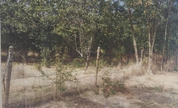 Търг с тайно наддаване по реда на чл 251