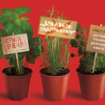 Lidl те предизвиква да усетиш вкуса на подправките по друг начин