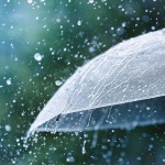 Хладно време с валежи от дъжд и сняг